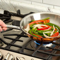 All-Clad c4 Fry Pan |C4110| 10" four-ply with Copper