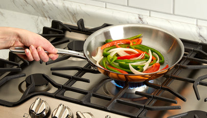 All-Clad c4 Fry Pan |C4110| 10