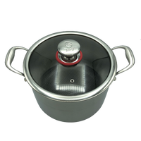 Targu Hybrid Stock Pot: 24cm with glass lid | BC-HW24SPG