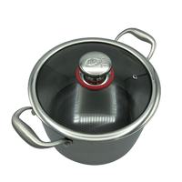 Targu Hybrid Stock Pot: 24cm with glass lid | BC-HW24SPG